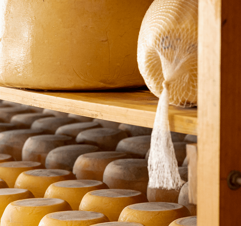 INTERNAL AUDITOR IN MANAGEMENT SYSTEMS FOR FOOD SAFETY GMP, HACCP, ISO 22000:2018